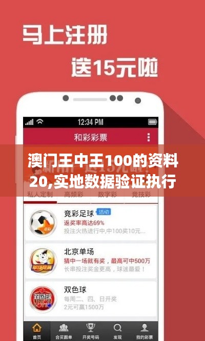 澳门王中王100的资料20,实地数据验证执行_app6.871