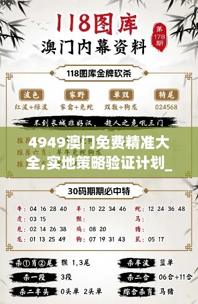 4949澳门免费精准大全,实地策略验证计划_冒险款10.229