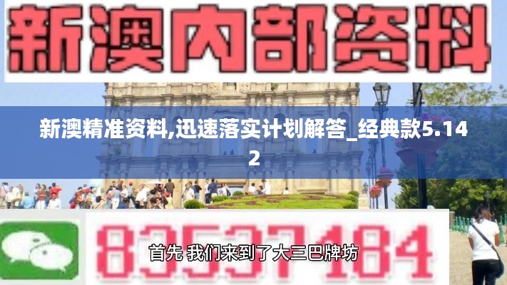 新澳精准资料,迅速落实计划解答_经典款5.142