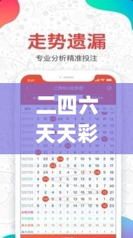 二四六天天彩资料大全网,快捷问题计划设计_专属款13.709