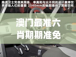 澳门最准六肖期期准免费100,现状解答解释定义_动态版2.485