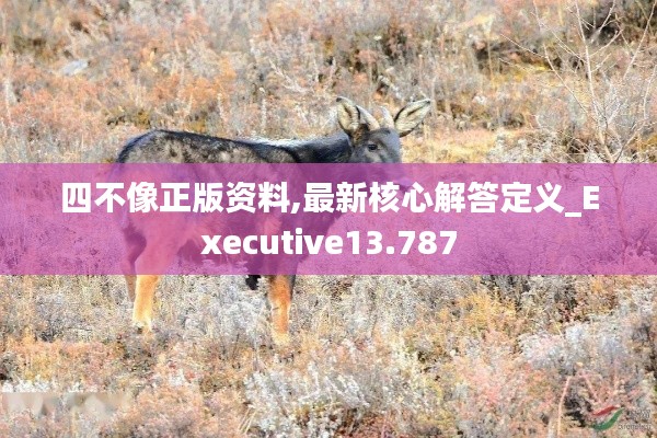 四不像正版资料,最新核心解答定义_Executive13.787