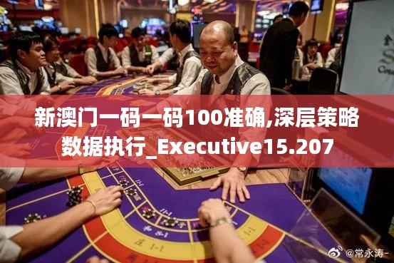 新澳门一码一码100准确,深层策略数据执行_Executive15.207