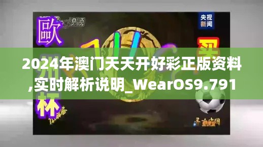 2024年澳门天天开好彩正版资料,实时解析说明_WearOS9.791