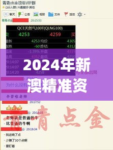 2024年新澳精准资料免费提供,迅捷解答问题处理_限量版9.323