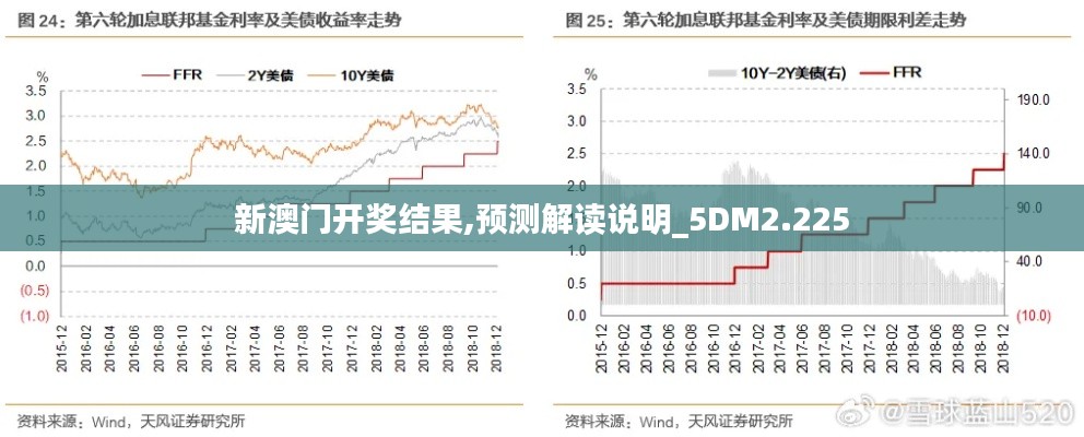 新澳门开奖结果,预测解读说明_5DM2.225