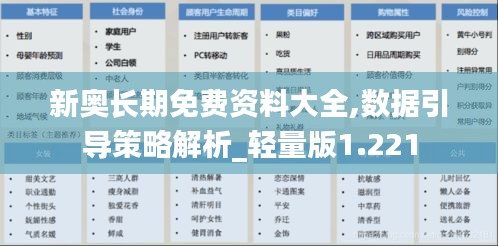 新奥长期免费资料大全,数据引导策略解析_轻量版1.221