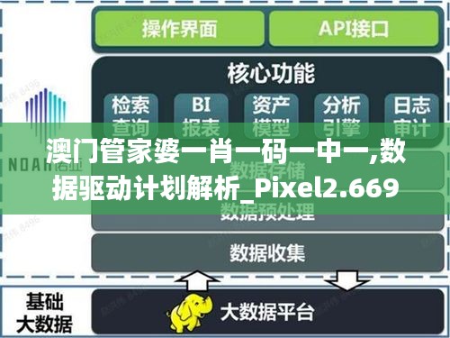 澳门管家婆一肖一码一中一,数据驱动计划解析_Pixel2.669