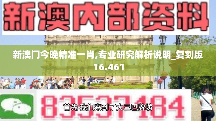 新澳门今晚精准一肖,专业研究解析说明_复刻版16.461