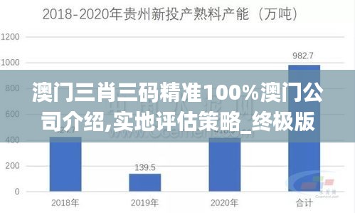 澳门三肖三码精准100%澳门公司介绍,实地评估策略_终极版6.858