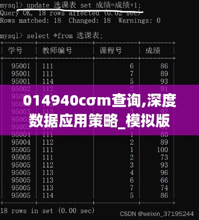 014940cσm查询,深度数据应用策略_模拟版2.763