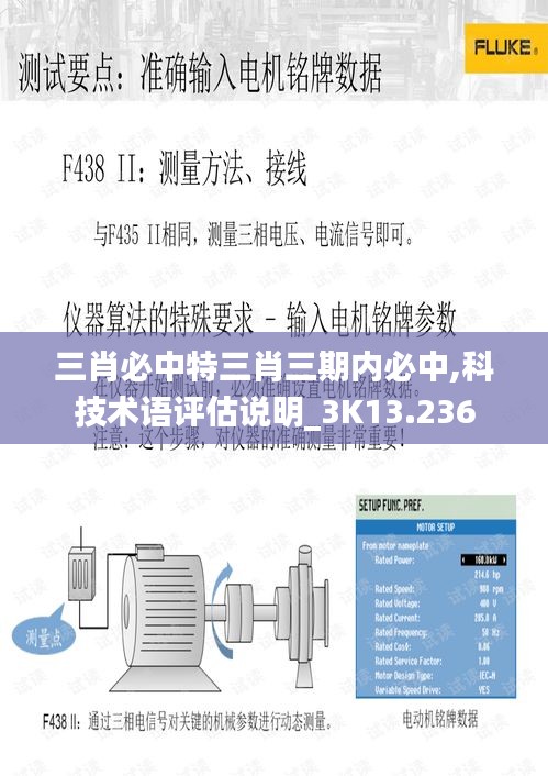 三肖必中特三肖三期内必中,科技术语评估说明_3K13.236