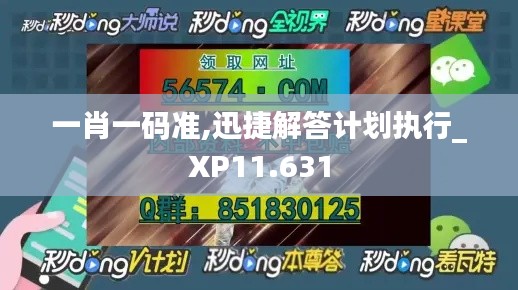 一肖一码准,迅捷解答计划执行_XP11.631