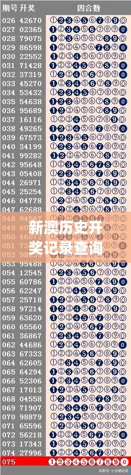 新澳历史开奖记录查询结果一样吗,权威评估解析_限定版9.591