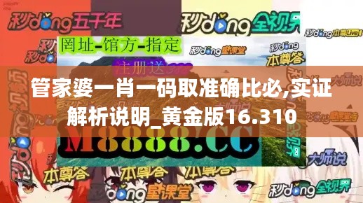 管家婆一肖一码取准确比必,实证解析说明_黄金版16.310