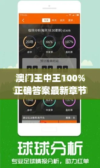 澳门王中王100%正确答案最新章节,灵活性策略设计_eShop10.712