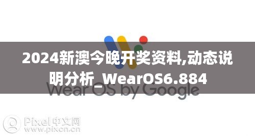 2024新澳今晚开奖资料,动态说明分析_WearOS6.884