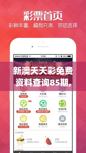 新澳天天彩免费资料查询85期,动态说明解析_VIP9.717