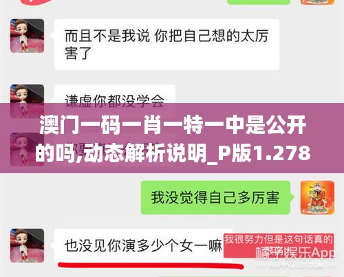 澳门一码一肖一特一中是公开的吗,动态解析说明_P版1.278