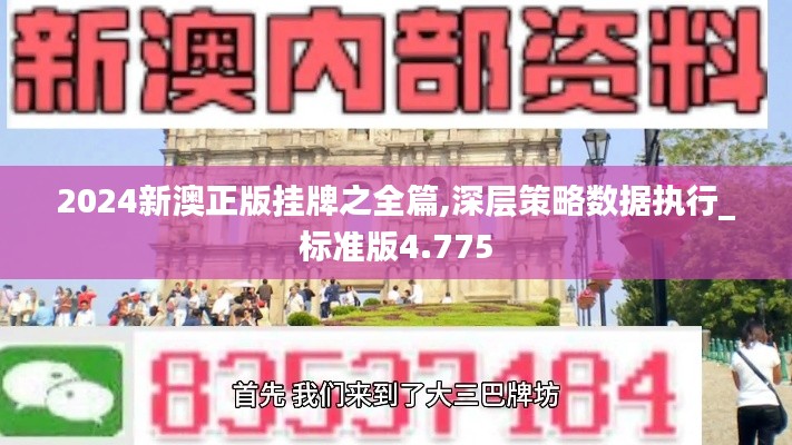 2024新澳正版挂牌之全篇,深层策略数据执行_标准版4.775