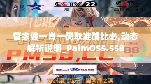 管家婆一肖一码取准确比必,动态解析说明_PalmOS5.558