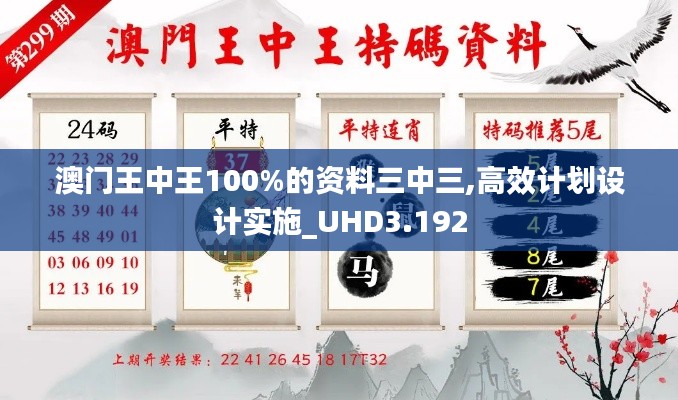 澳门王中王100%的资料三中三,高效计划设计实施_UHD3.192