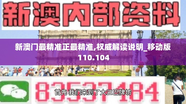 新澳门最精准正最精准,权威解读说明_移动版110.104