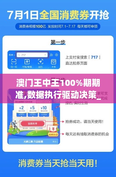 澳门王中王100%期期准,数据执行驱动决策_V版1.717