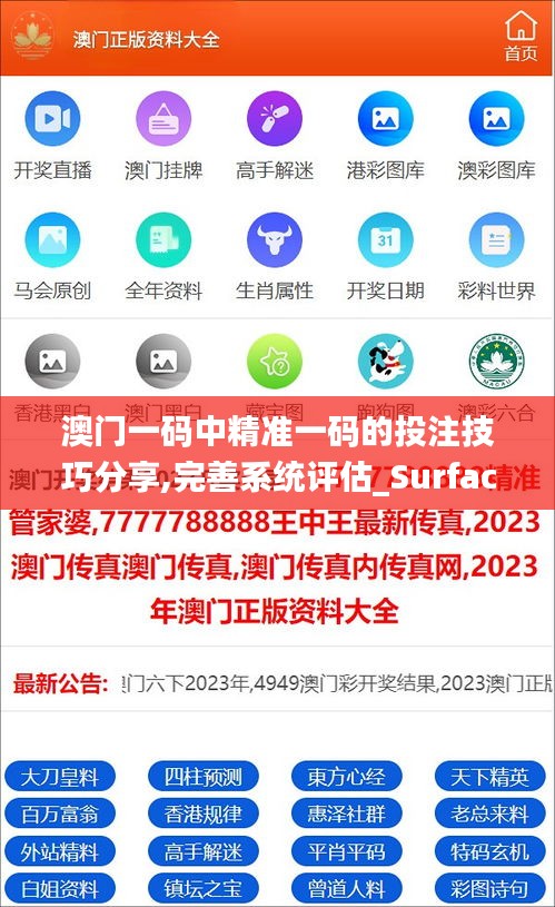 澳门一码中精准一码的投注技巧分享,完善系统评估_Surface8.680