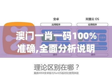 澳门一肖一码100%准确,全面分析说明_pro2.679