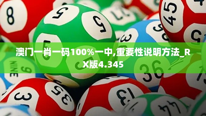 澳门一肖一码100%一中,重要性说明方法_RX版4.345