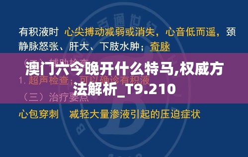 澳门六今晚开什么特马,权威方法解析_T9.210