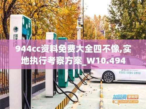 944cc资料免费大全四不像,实地执行考察方案_W10.494