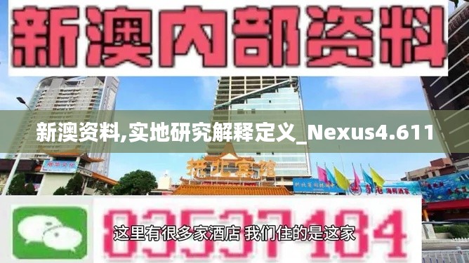 新澳资料,实地研究解释定义_Nexus4.611