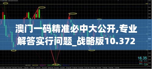 澳门一码精准必中大公开,专业解答实行问题_战略版10.372