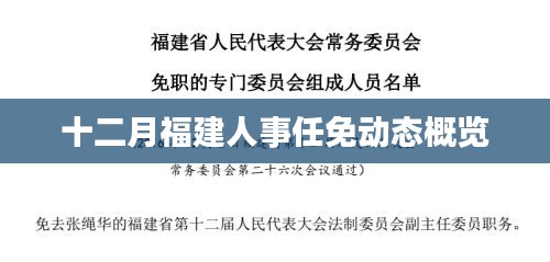 十二月福建人事任免动态概览，最新人事变动一览