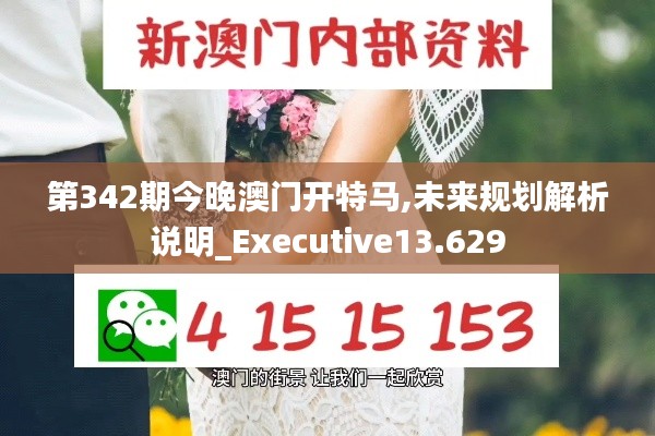 第342期今晚澳门开特马,未来规划解析说明_Executive13.629