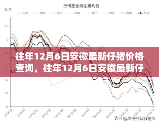 往年12月6日安徽仔猪价格一览，最新价格查询与概览