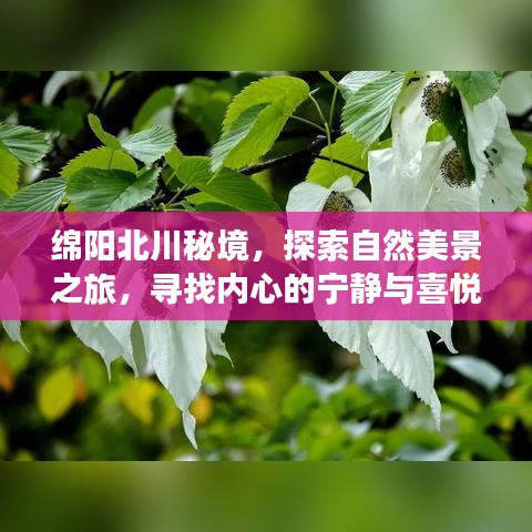 绵阳北川秘境，自然美景探索之旅，寻觅内心宁静与喜悦的旅程