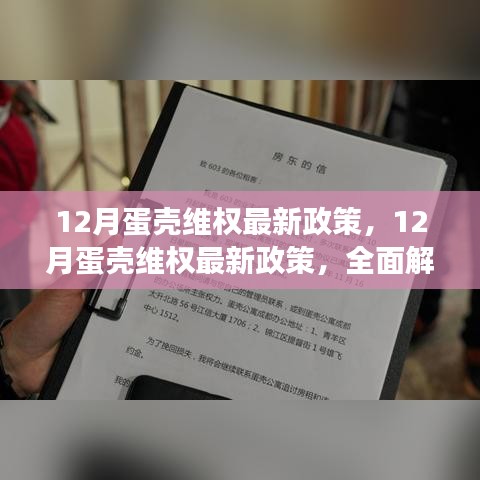 全面解读，蛋壳维权最新政策特性、用户体验与目标用户群体分析揭秘