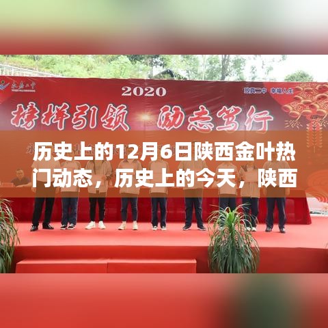 陕西金叶背后的励志故事，历史变迁与梦想成就——历史上的今天，学习变化塑造自信与梦想之路