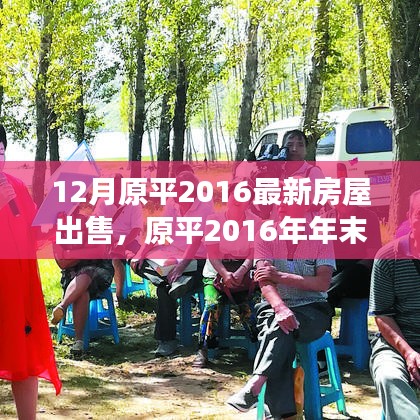 原平2016年末房屋市场繁荣回顾与影响，最新房屋出售分析