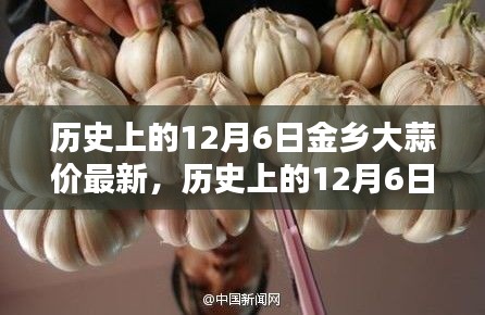 历史上的金乡大蒜价格走势分析，最新动态与现代影响探讨