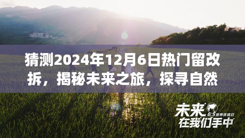 揭秘未来之旅，探寻自然美景的留改拆，启程寻找内心平和与宁静的旅程——2024年热门留改拆活动展望（附日期）