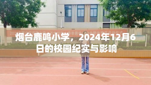 烟台鹿鸣小学，校园纪实与深远影响——2024年12月6日纪实报道