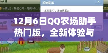 QQ农场助手热门版全新体验与实用指南（12月6日版）