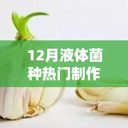 12月液体菌种热门制作深度解析与观点探讨，制作方法与启示