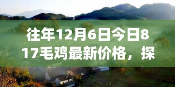 今日817毛鸡最新价格，探索自然美景之旅与追寻内心宁静的足迹