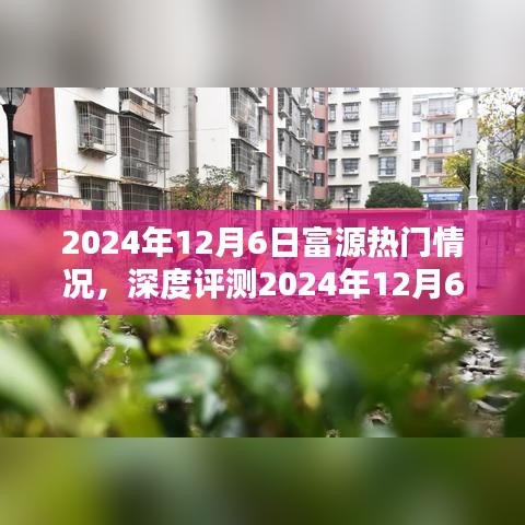 2024年12月6日富源产品全面深度评测，特性、体验、竞品对比及用户群体分析