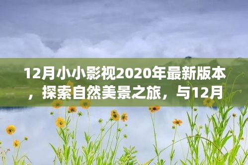 探索自然美景之旅，与最新12月小小影视共赴宁静胜地